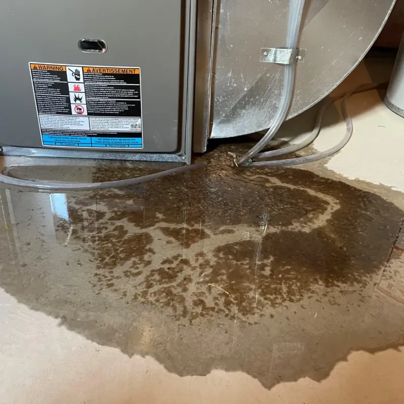 Appliance Leak Cleanup in Pemiscot County, MO