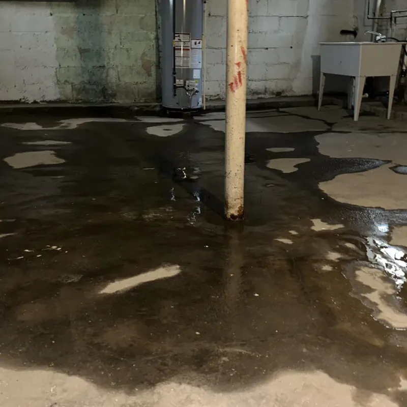 Emergency Water Extraction And Removal in Pemiscot County, MO
